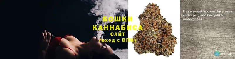 Конопля Ganja  хочу   Лодейное Поле 